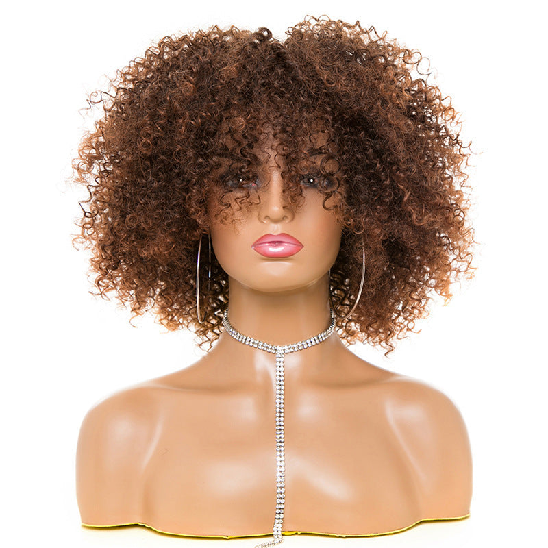 Afro Kinky Curly Wig Natural Look