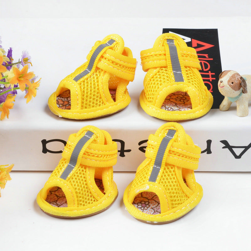 Small dog shoes