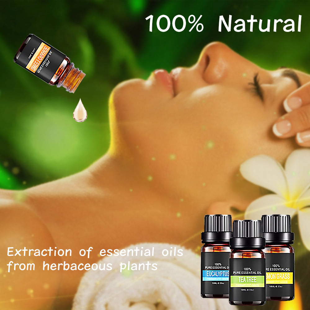 Organic Essential Oils Set Top Sale  Natural Therapeutic Grade Aromatherapy Oil Gift Kit For Diffuser My Store