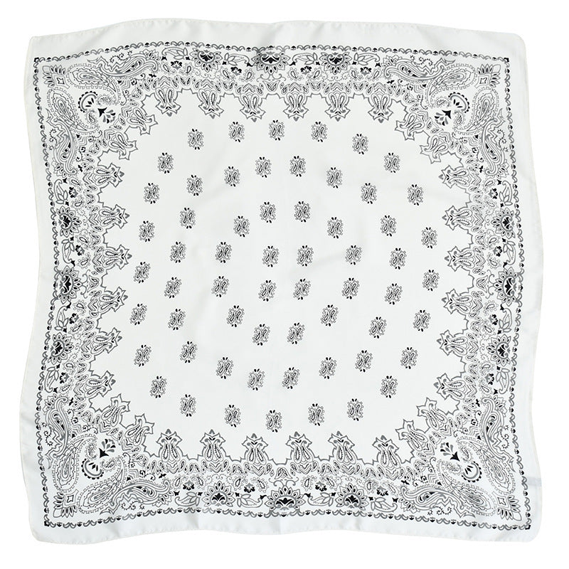 Women's Paisley 70cm Professional Scarf