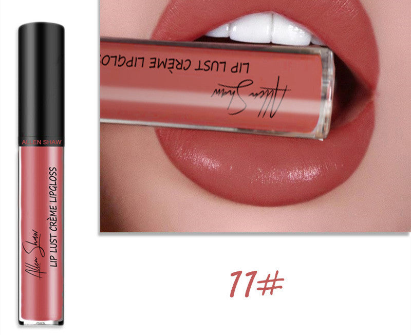 Silky Cream Lip Gloss Aliexpress Shopee Exclusive