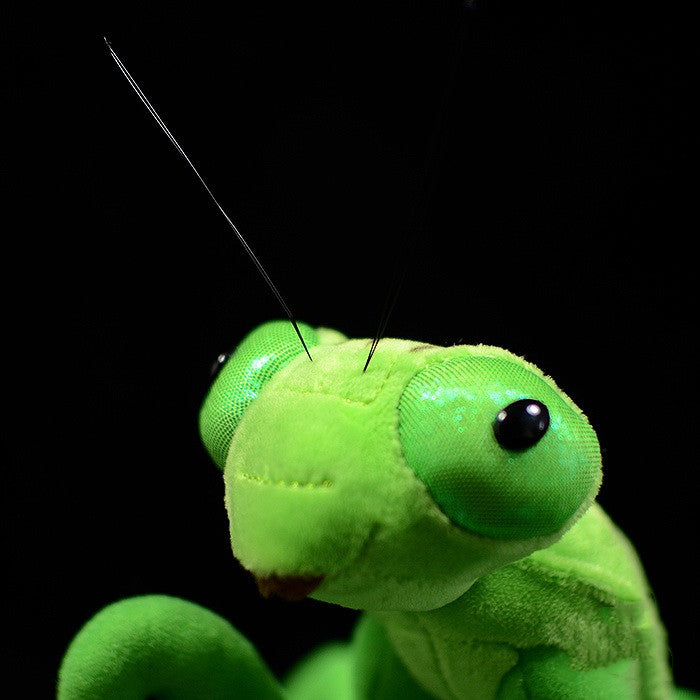Lifelike Mantis Plush Toys Mantis Stuffed Animals Toy For Kids Sell My Stuff
