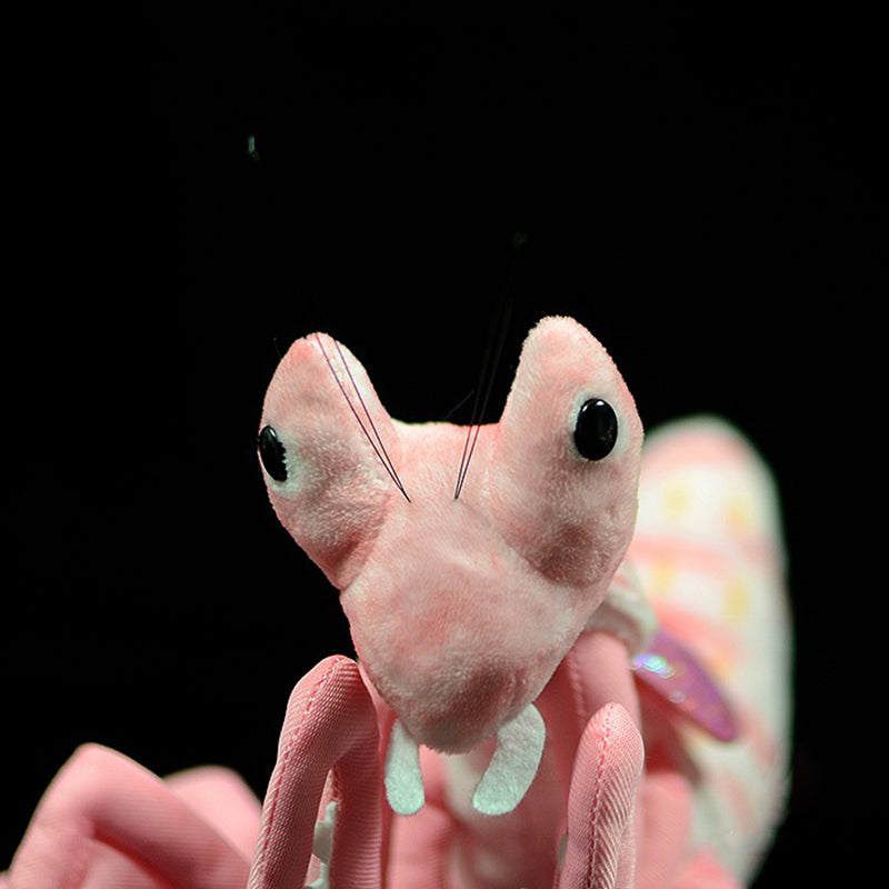 Lifelike Mantis Plush Toys Mantis Stuffed Animals Toy For Kids Sell My Stuff