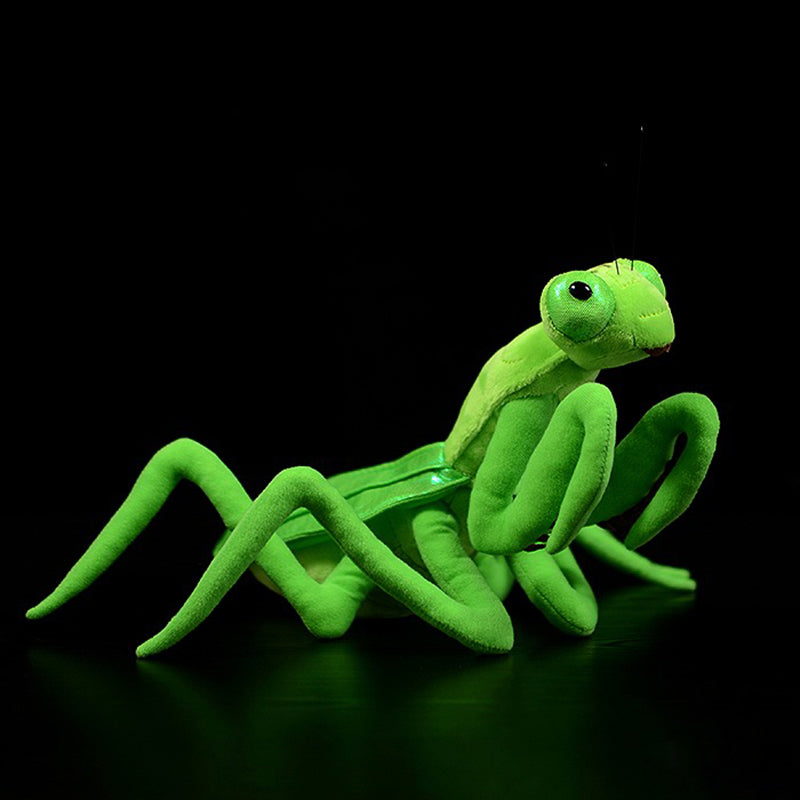 Lifelike Mantis Plush Toys Mantis Stuffed Animals Toy For Kids Sell My Stuff