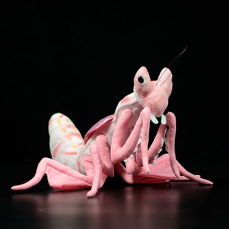Lifelike Mantis Plush Toys Mantis Stuffed Animals Toy For Kids Sell My Stuff