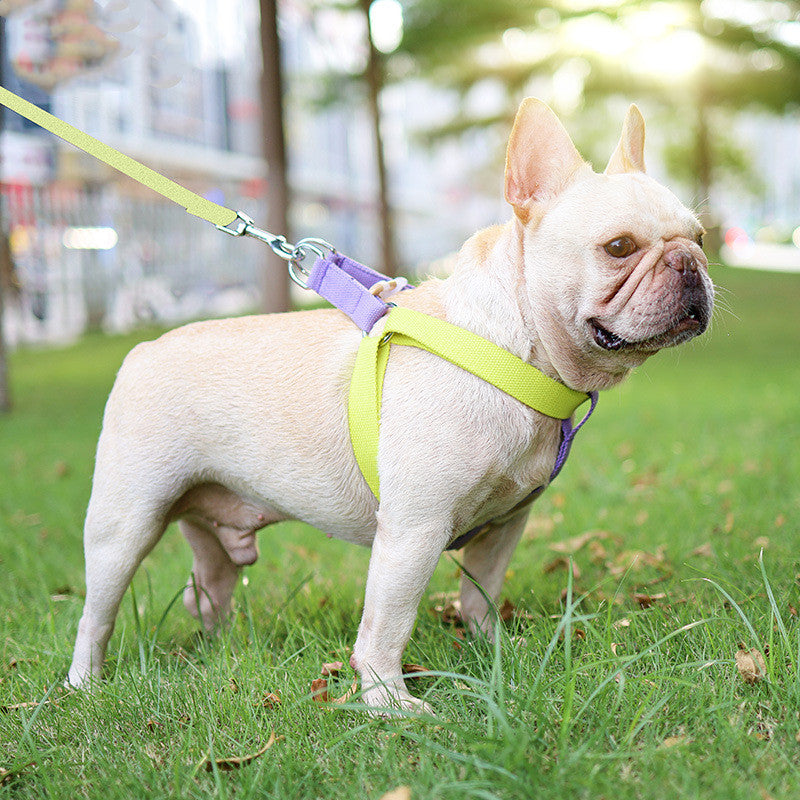 Color Pet Drawstring Leash Vest-style Dog Leash My Store