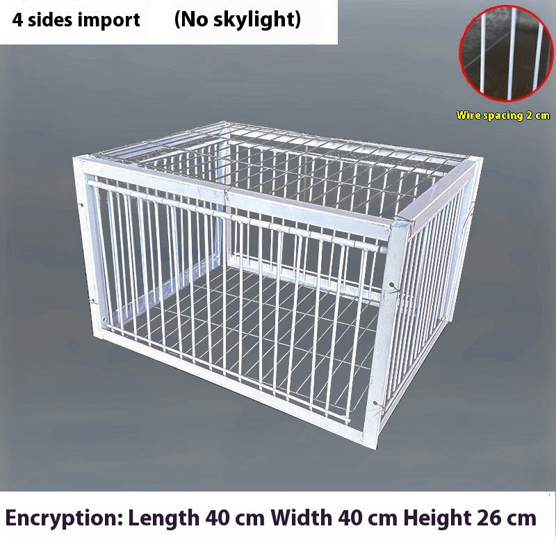 Pigeon Active Network Door Encrypted Return Cage