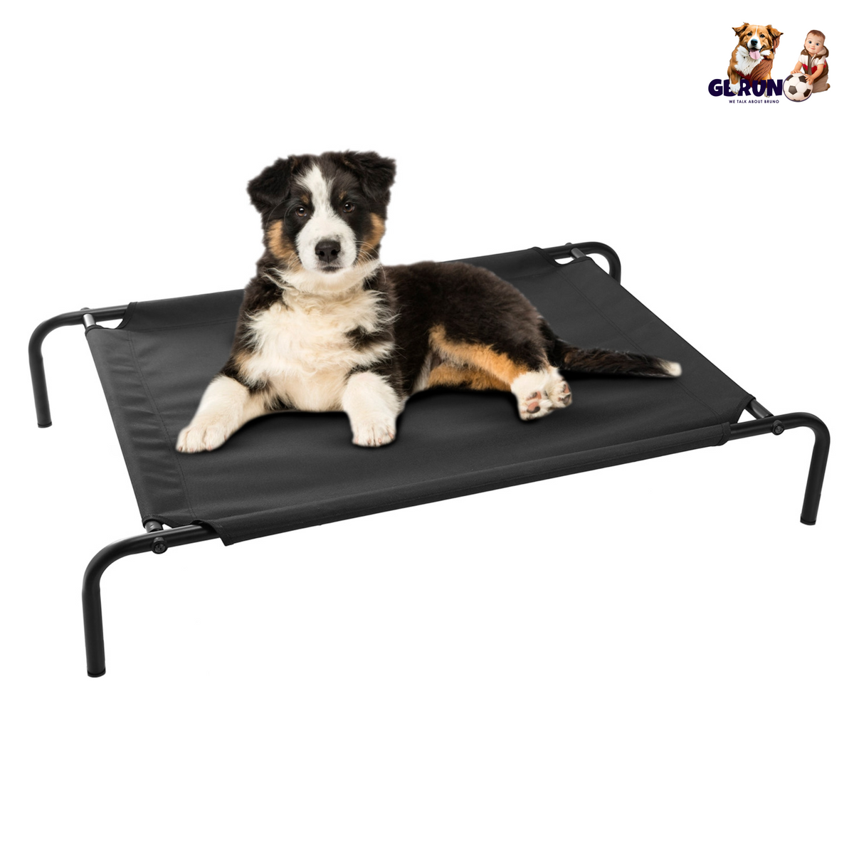 GBruno Elevated Pet Bed