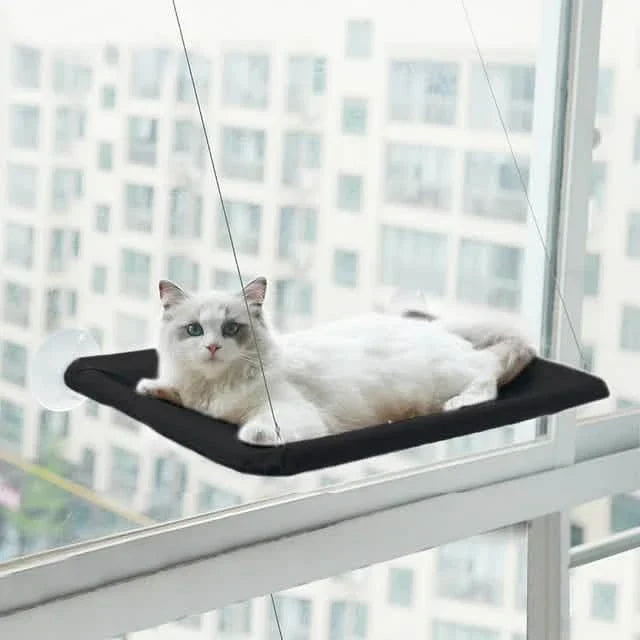 360¬∞ Cat Window Hammock: A Space-Saving Sunny Seat for Indoor Cats!