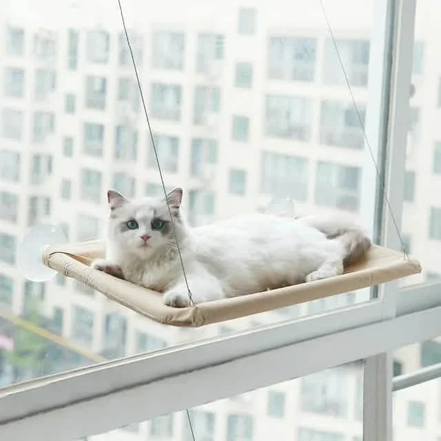 360¬∞ Cat Window Hammock: A Space-Saving Sunny Seat for Indoor Cats!