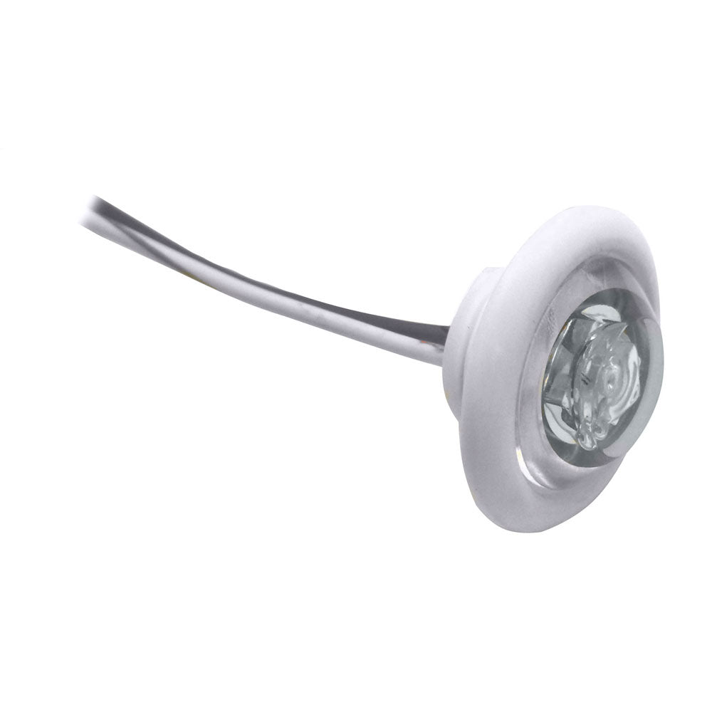 Innovative Lighting LED Bulkhead/Livewell Light "The Shortie" White LED w/ White Grommet TRAPSKI