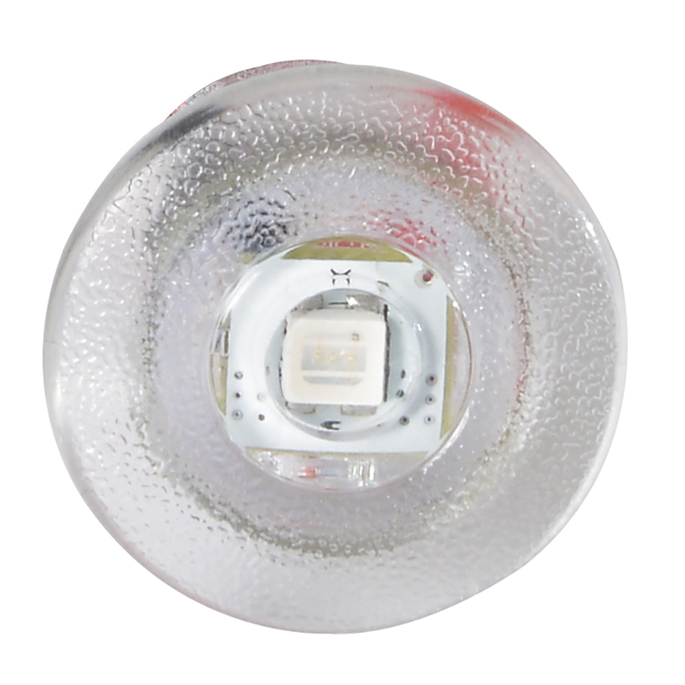 Lumitec Newt - Livewell & Courtesy Light - White Dimming TRAPSKI