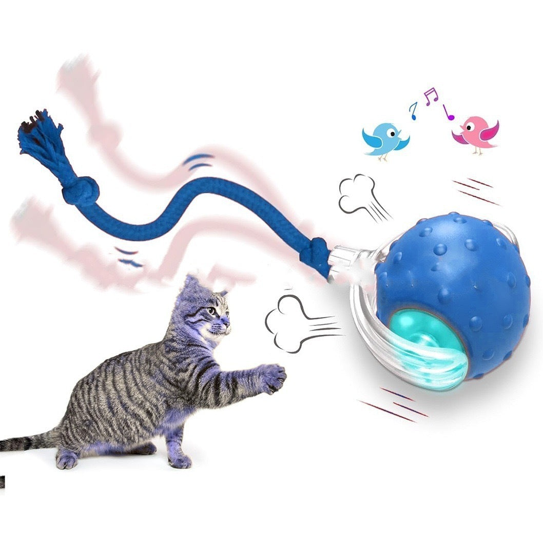 Interactive Cat Toy Ball Super Drive Cat Rolling Ball