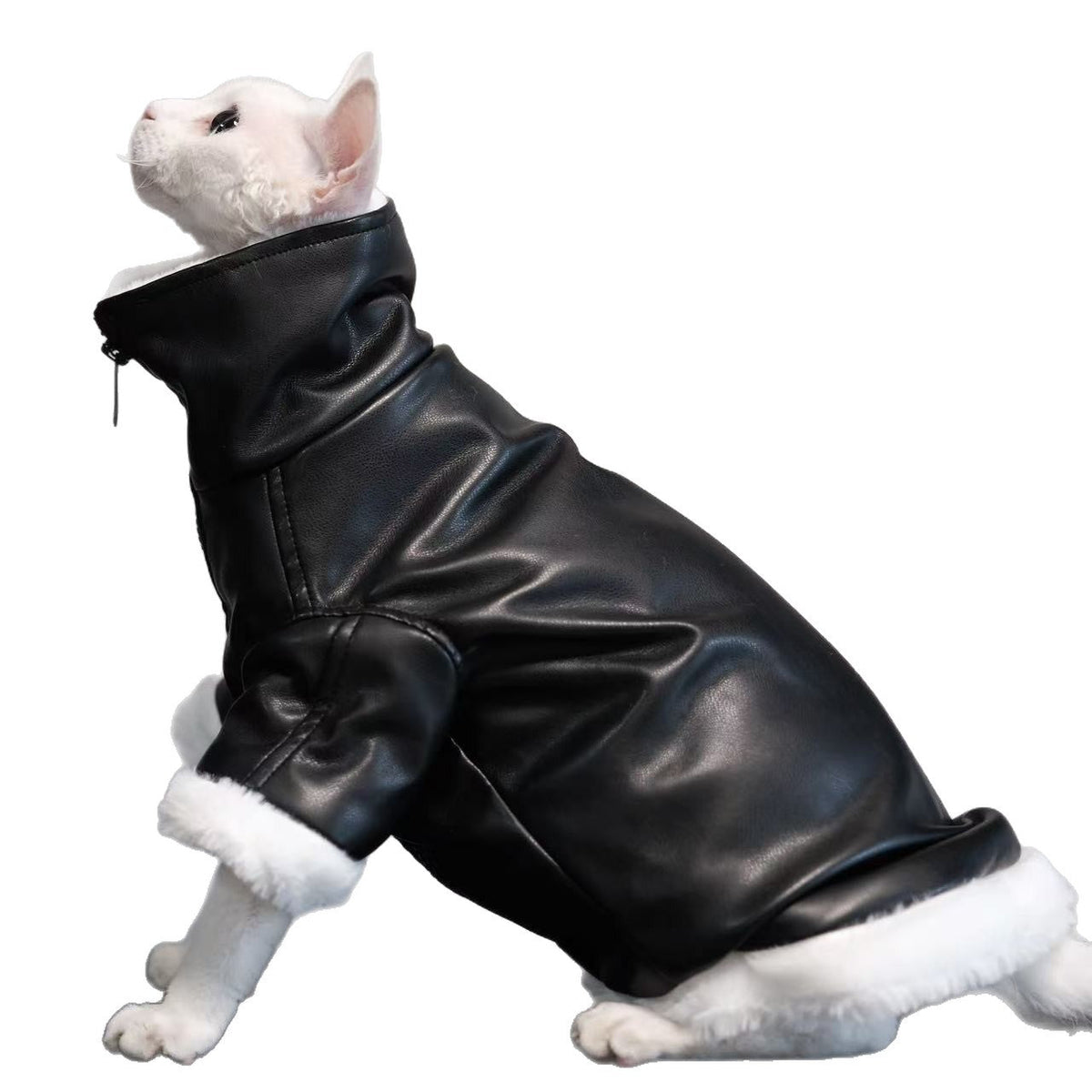 Thickened Coat Furless Cat Apparel Sphynx Cat Outfit Autumnwinter Style
