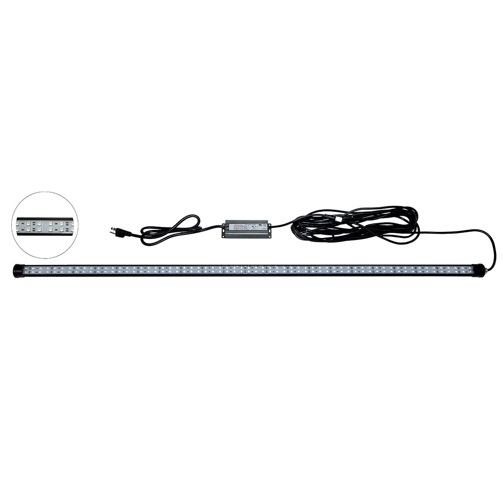 Hydro Glow DM260G 40W/120VAC Dock Mounted Fishing Light - Green TRAPSKI