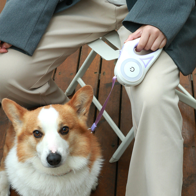 Dog Leash Retractable Leash And Dog Collar Spotlight Automatic Pet Dog Cat Traction Rope For Small Medium Dogs Pet Product My Store