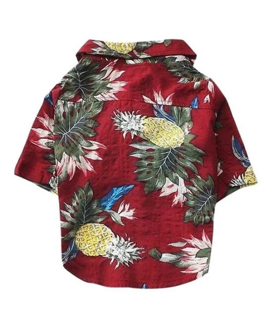 Hawaiian dog style shirt clothes