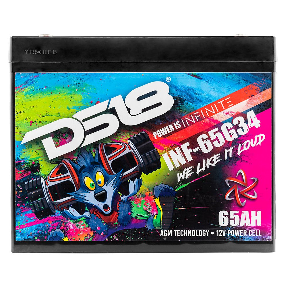 INFINITE 65 AH AGM Group 34 Power Cell 12 Volt Battery DS18