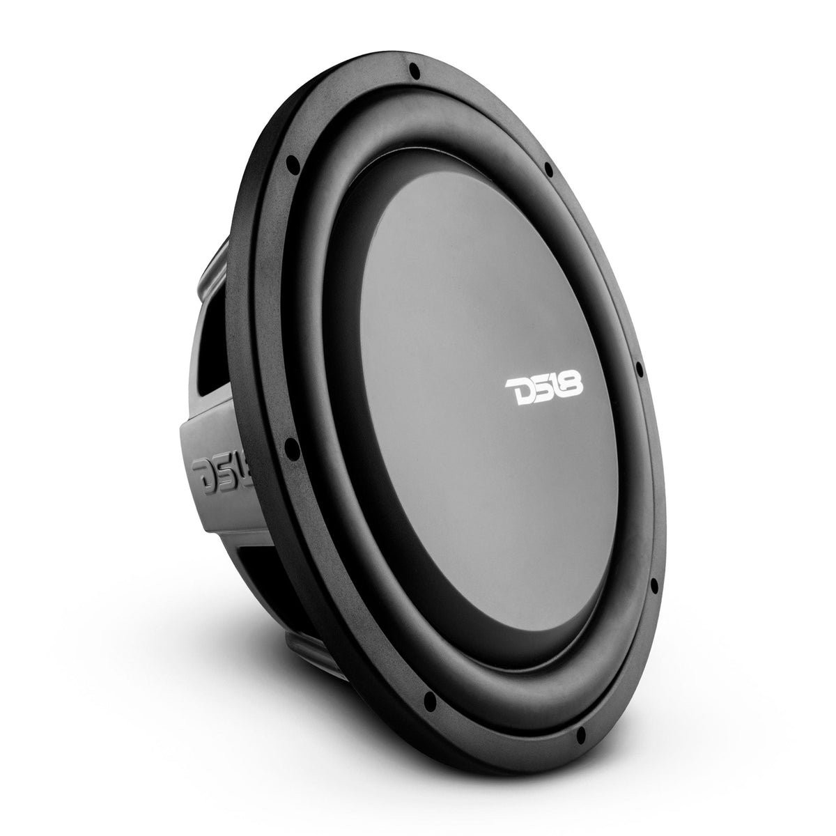 PS Shallow-Mount Water Resistant 12" Subwoofer | 600W RMS DVC 2-Ohm DS18