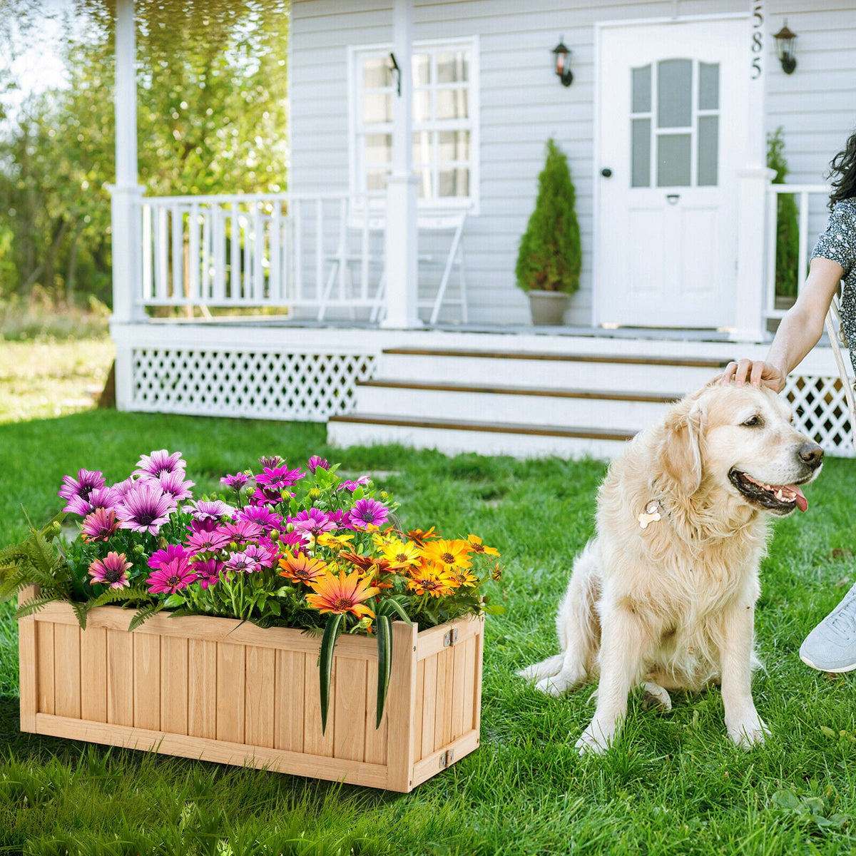 Folding Wooden Raised Garden Bed with Removable Bottom for Herbs Fruits Flowers DirectDeals