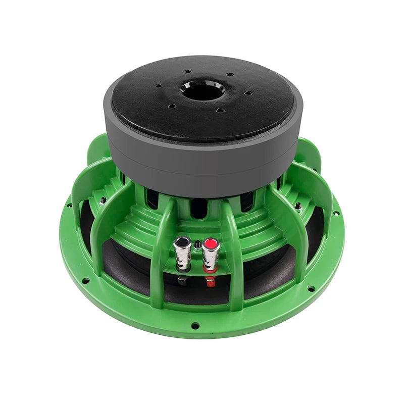 12-Inch Dual-Coil Car Subwoofer Bestbuyback