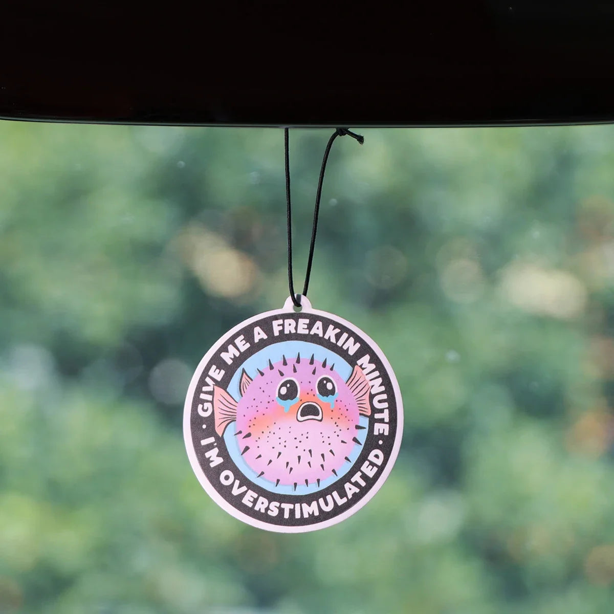 Raccoon Quotes Fragrant Paper Car Air Freshener | Solid Perfume Hanging for Home and Auto