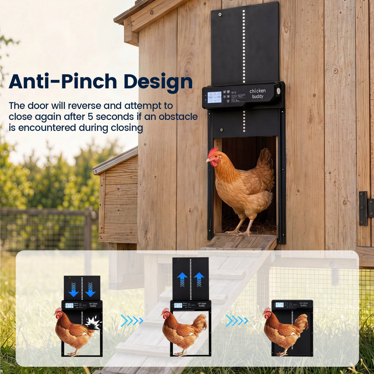 Solar Powered Automatic Chicken Coop Door with Remote Control DirectDeals