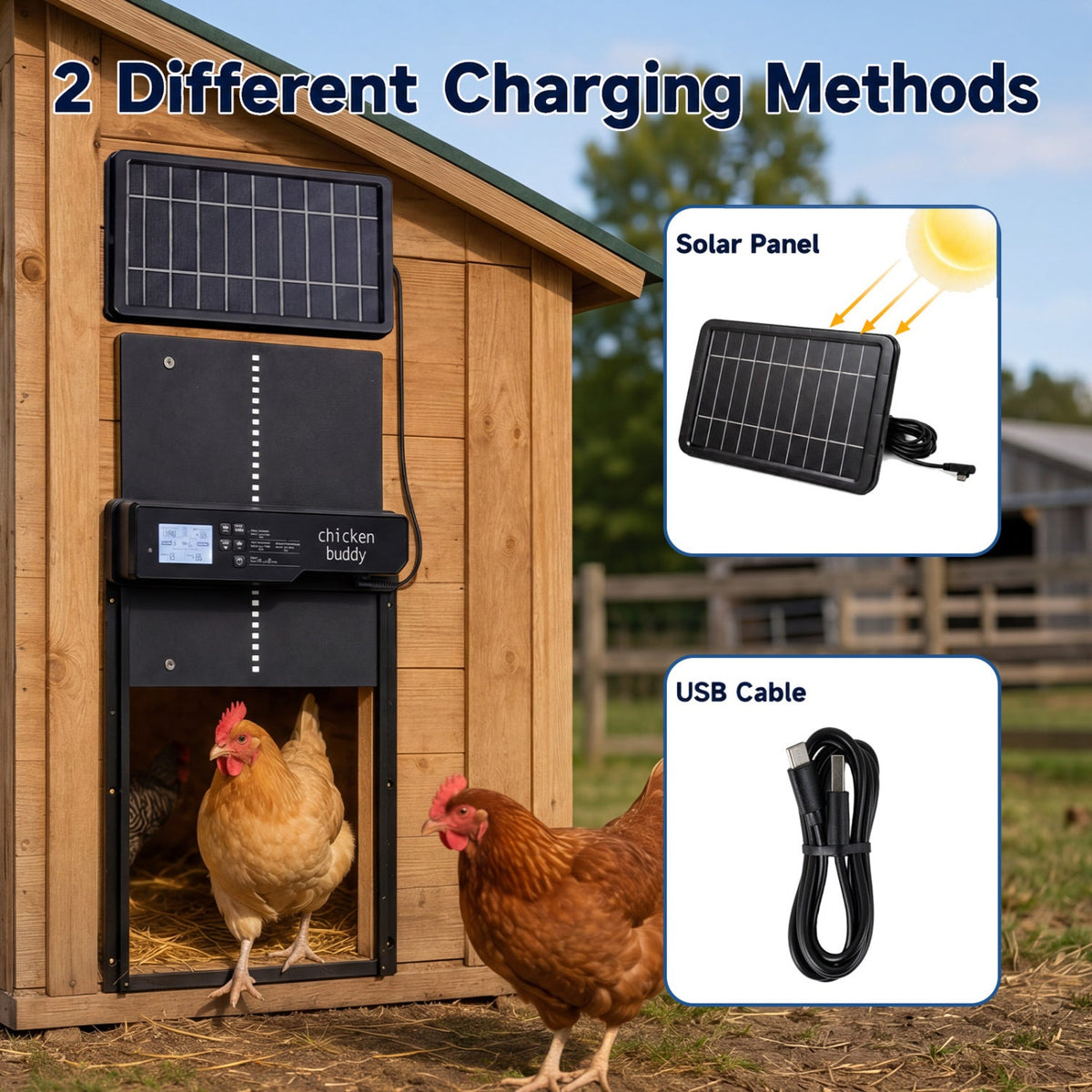 Solar Powered Automatic Chicken Coop Door with Remote Control DirectDeals