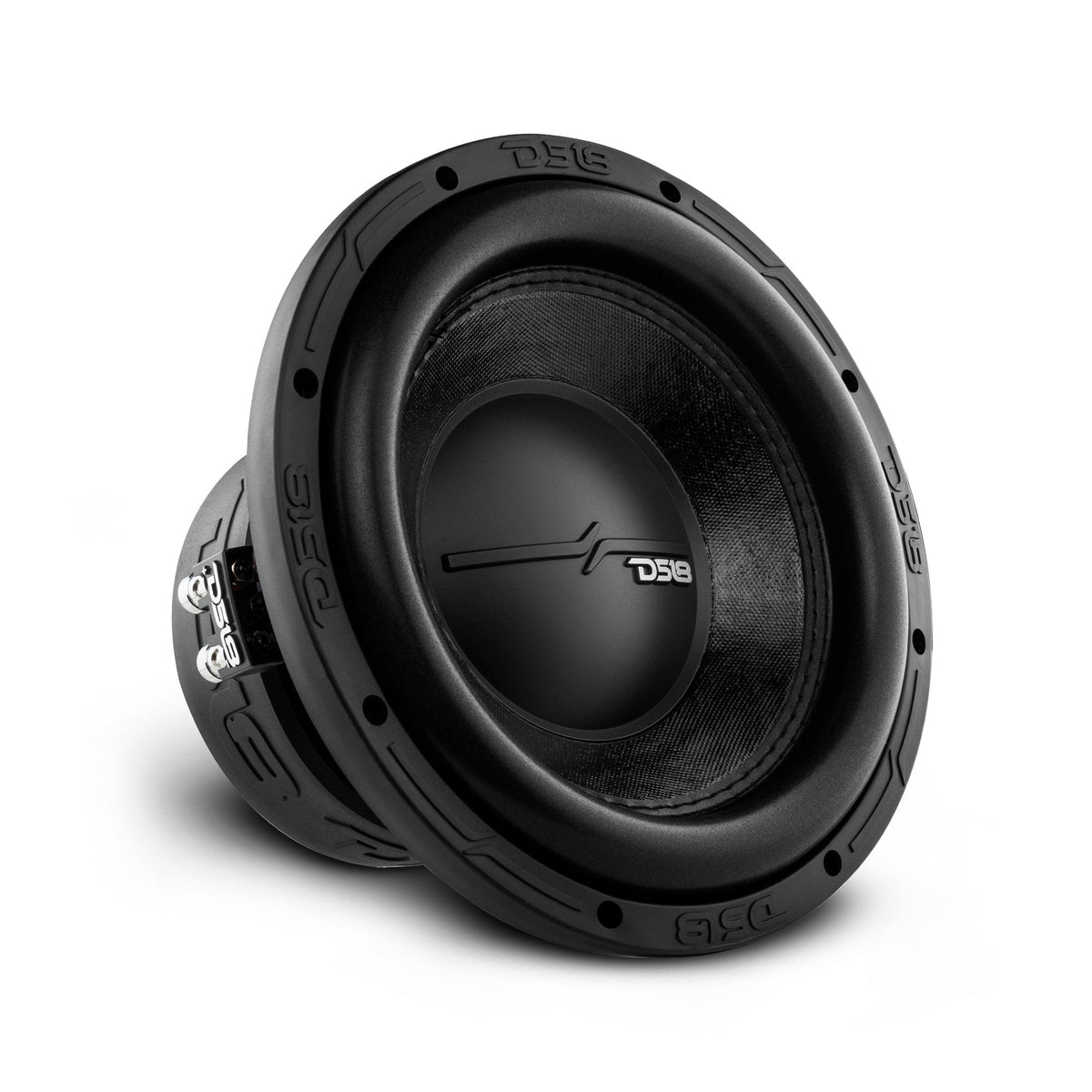 ZR 10" Subwoofer 700 Watts Rms DVC  2-Ohm DS18