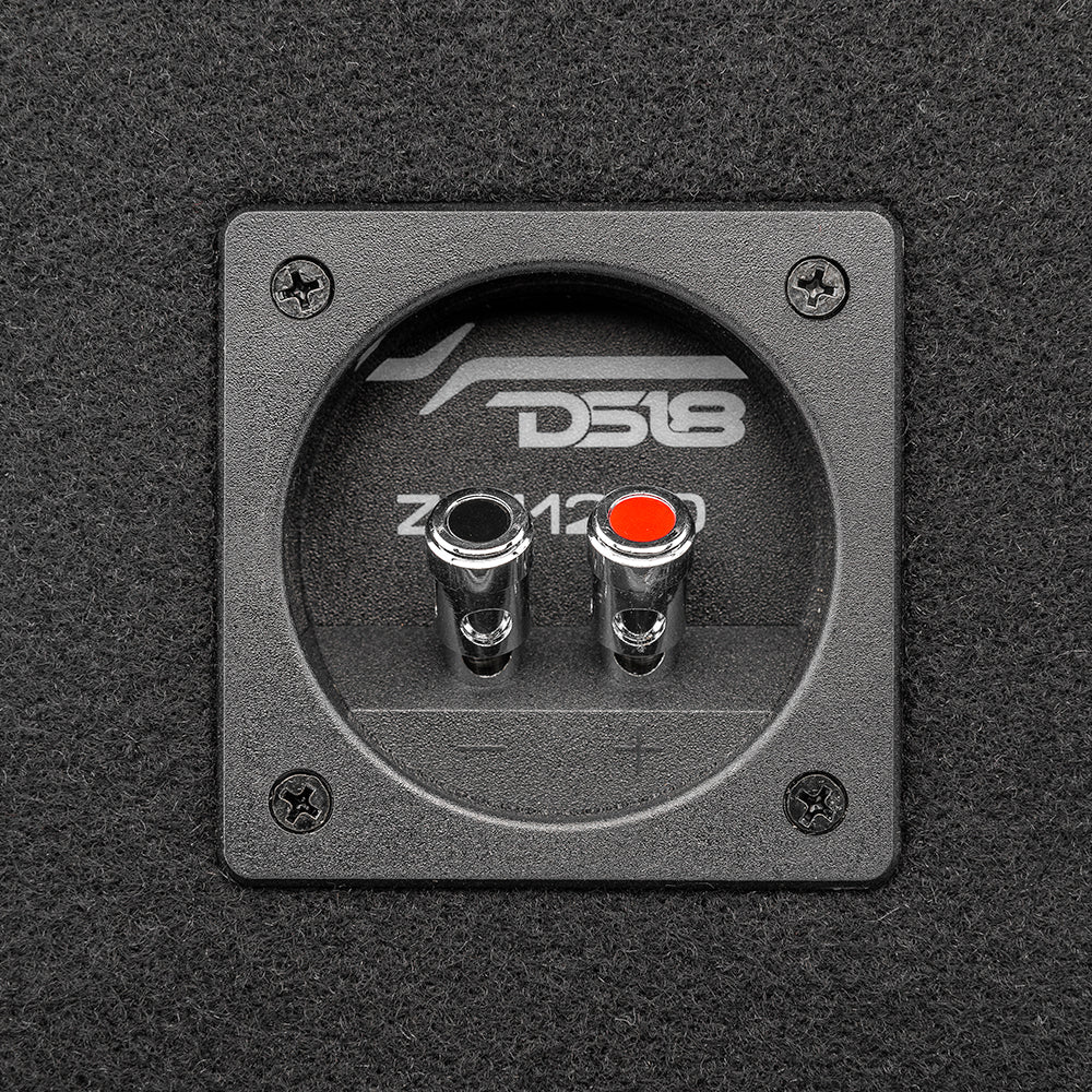 12" Loaded Subwoofer Ported Enclosure With ZR12.2D 800 Watts Rms DS18