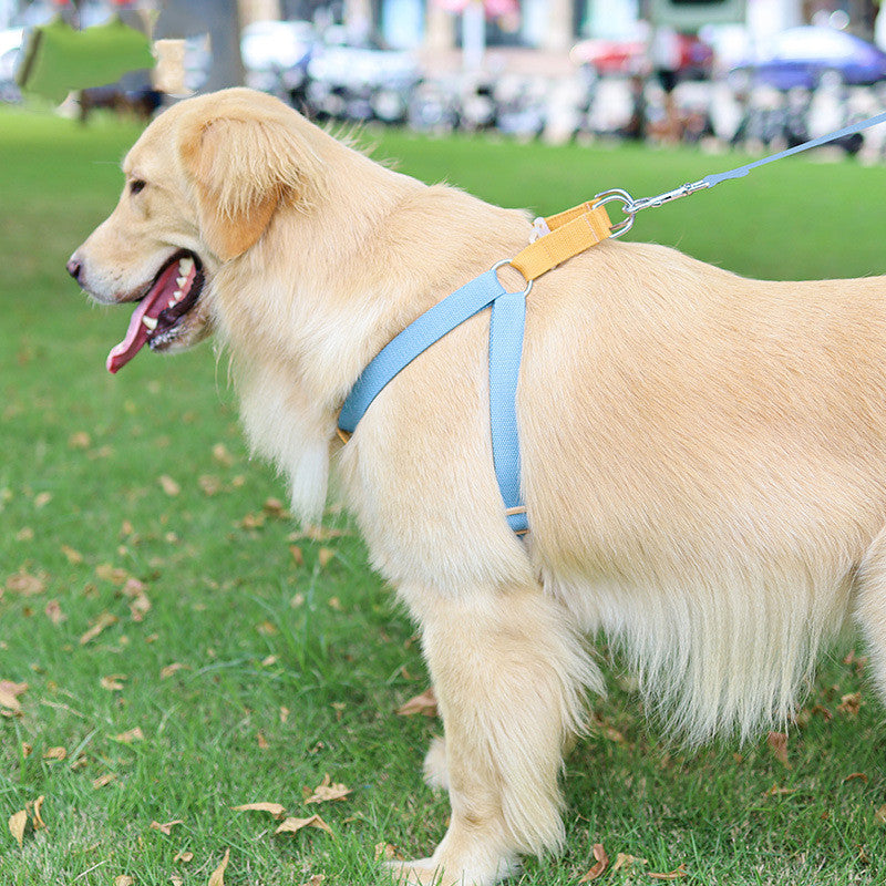 Color Pet Drawstring Leash Vest-style Dog Leash My Store