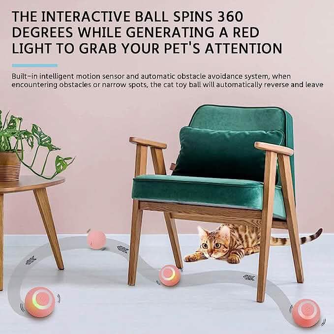 Found Notice Smart Interactive Cat Toy